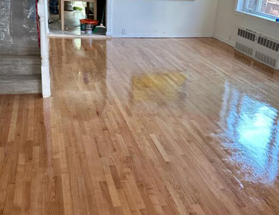 Wood Floor Restoration I
